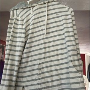 The black dog pull over
